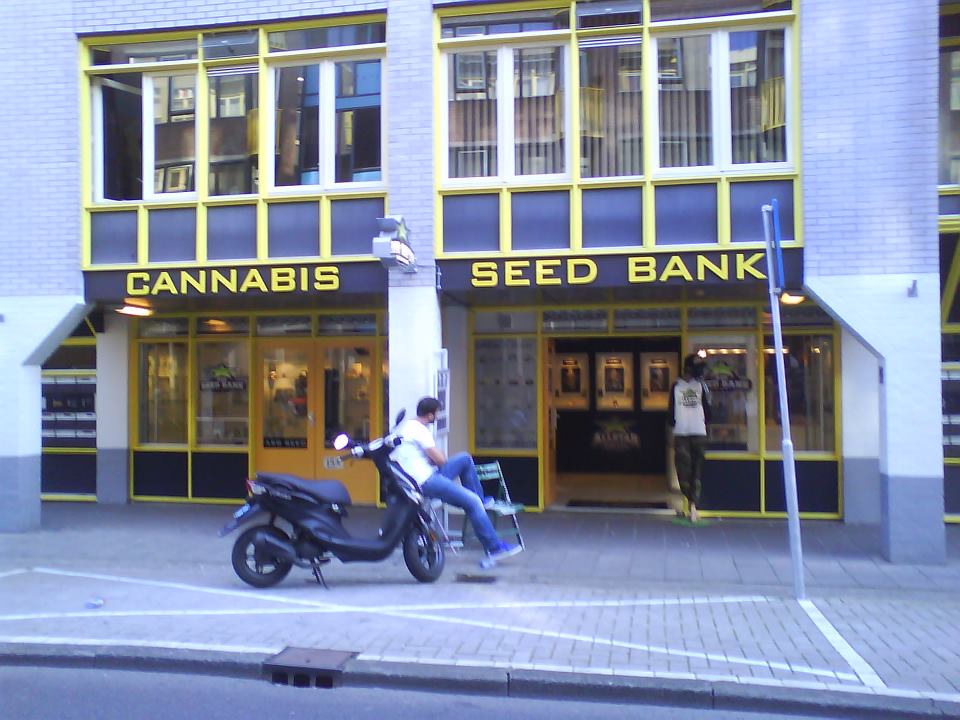 316922_2551099499270_246759057_n