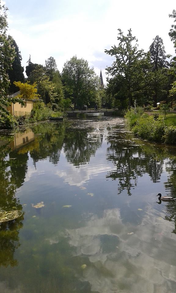 11263816_10206852456492434_1147027631_n