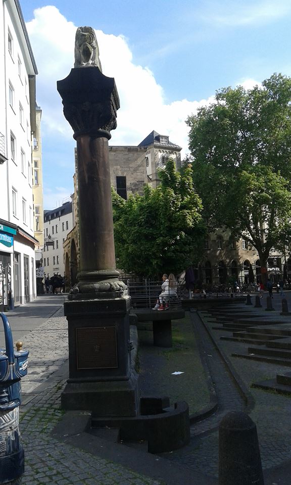 11301522_10206852446852193_1820730306_n