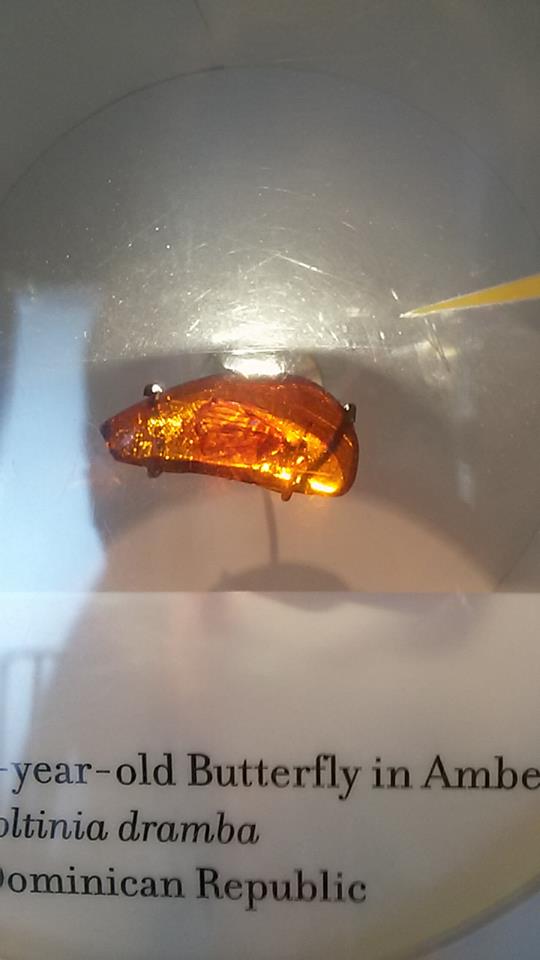 10392456_10207767125838596_2646326940931321060_n