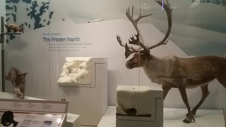 11988324_10207767125558589_2159466157045868132_n