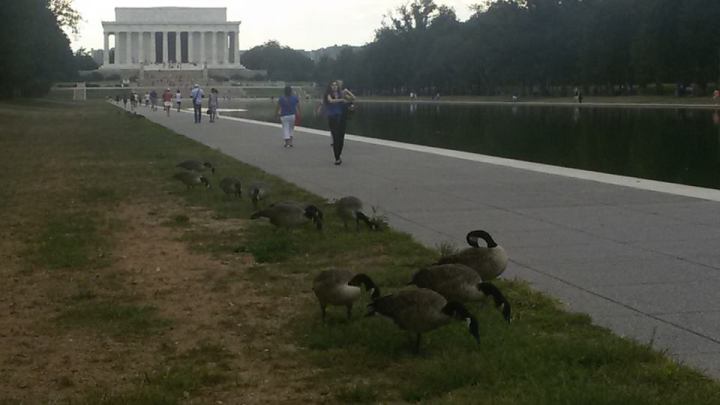 12002162_10207771214420808_9032461273522709020_n